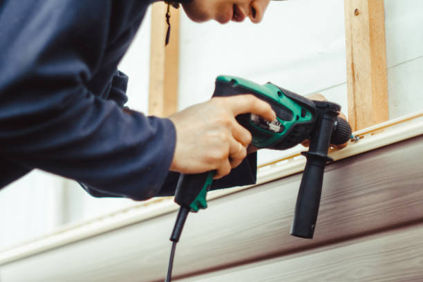 Best Fascia and Soffit Installation  in Leadwood, MO